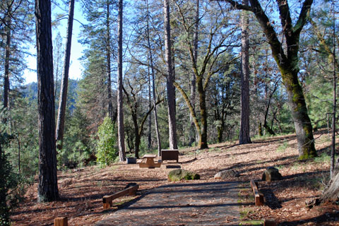 Hirz Bay  Campground at Shasta Lake