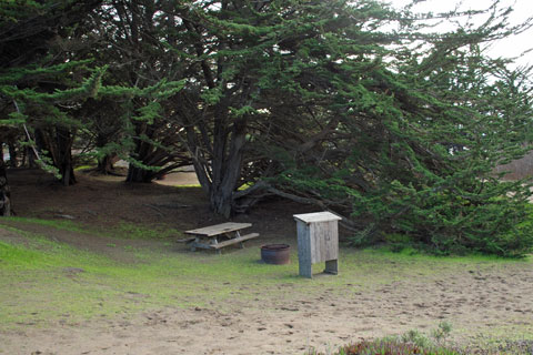 Bodega Dunes Campground, Sonoma Coast State Park, CA