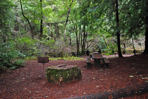 Campground at Samuel P. Taylor State Park, CA