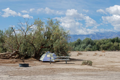 Furnace Creek Campground, Death Valley Natiional Park Campground, CA