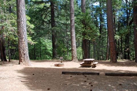 Scotts Flat Campground, Scotts Flat Lake, CA