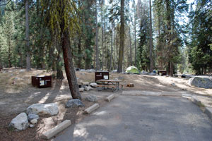 Sequoia National Park camping, CA