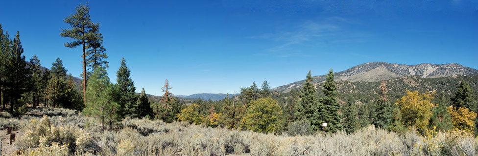 Barton Flats, San Bernardino National Forest, CA