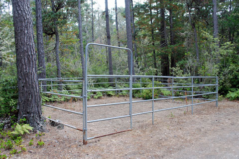 Russian Gulch State Park Horse Camp, Mendocino coast