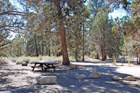 Serrano Campground, Big Bear Lake, CA