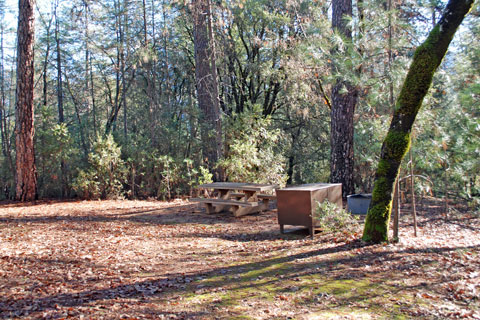 Hirz Bay Campground at Shasta Lake