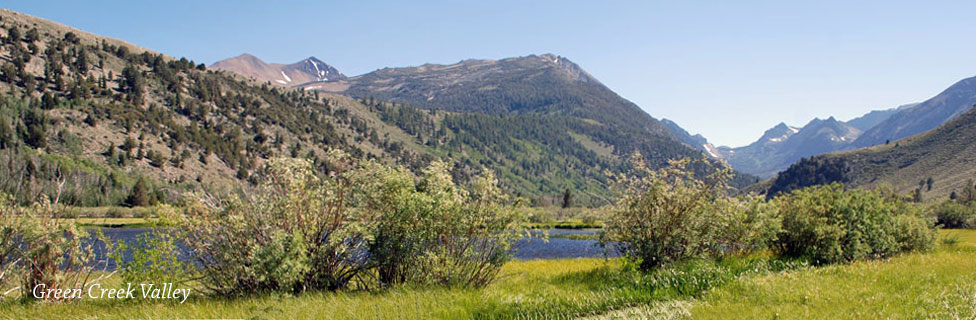 Green Creek, Mono County, CA