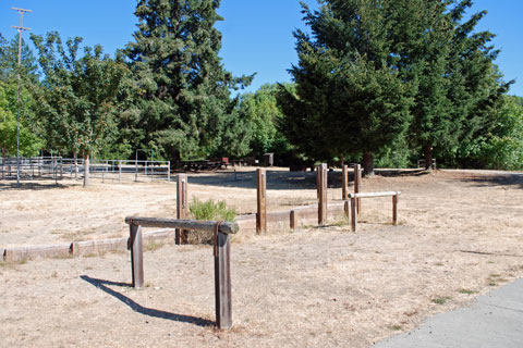 Cuneo Creek Horse Camp, Humboldt Redwoods State Park, CA