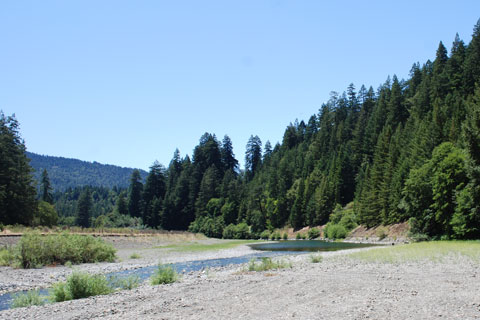 Eel River, Richardson Grove State Park, CA