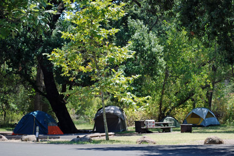 Kelsey Campground, Clear Lake State Park, CA