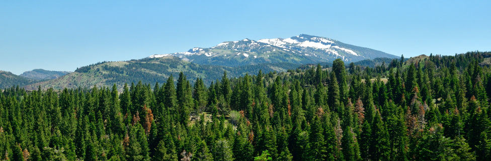 Patterson Guard Station, Modoc National Forest, CA